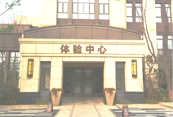 西安龍湖地產售樓部純銅地彈門