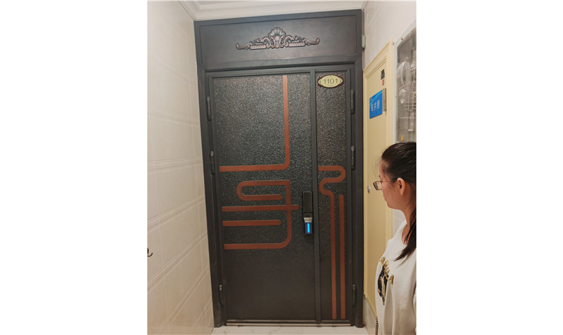 西安碧桂園小區家用入戶鑄鋁門